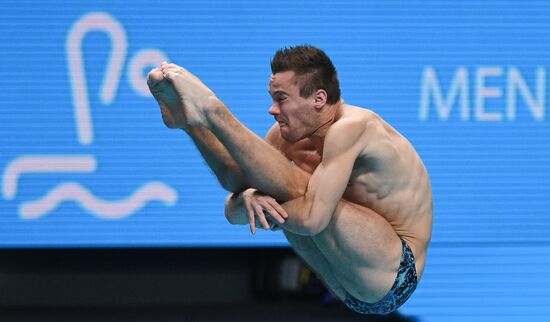 Чемпионат мира FINA 2017. Прыжки в воду. Мужчины. Трамплин 1 м. Финал