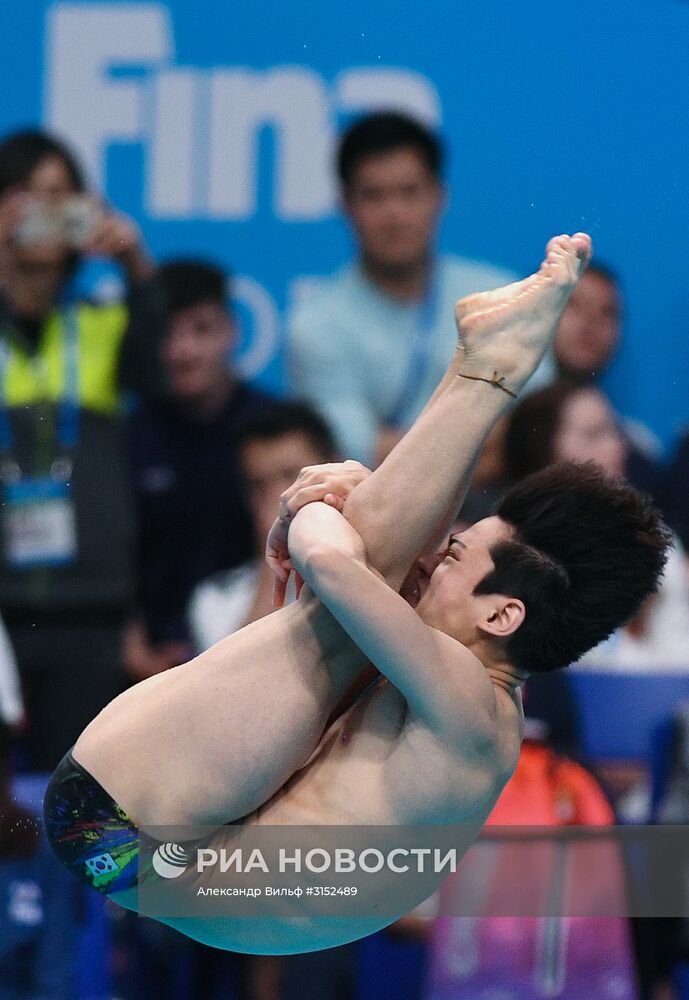 Чемпионат мира FINA 2017. Прыжки в воду. Мужчины. Трамплин 1 м. Финал