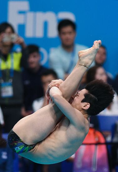 Чемпионат мира FINA 2017. Прыжки в воду. Мужчины. Трамплин 1 м. Финал