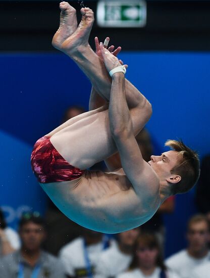 Чемпионат мира FINA 2017. Прыжки в воду. Мужчины. Трамплин 1 м. Финал