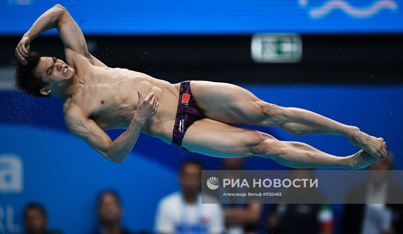 Чемпионат мира FINA 2017. Прыжки в воду. Мужчины. Трамплин 1 м. Финал