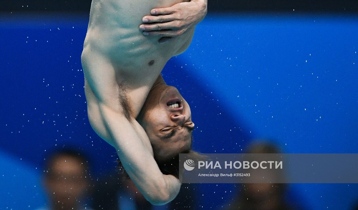 Чемпионат мира FINA 2017. Прыжки в воду. Мужчины. Трамплин 1 м. Финал