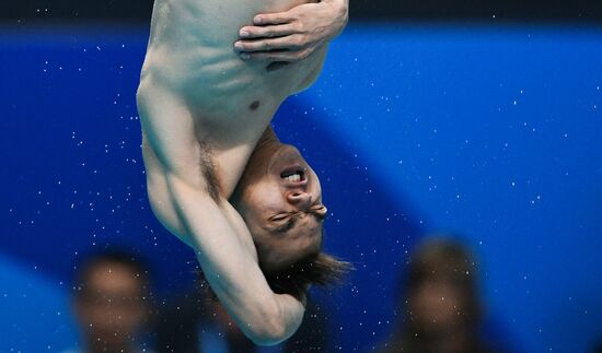 Чемпионат мира FINA 2017. Прыжки в воду. Мужчины. Трамплин 1 м. Финал