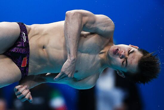 Чемпионат мира FINA 2017. Прыжки в воду. Мужчины. Трамплин 1 м. Финал