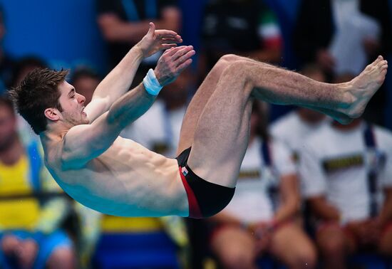 Чемпионат мира FINA 2017. Прыжки в воду. Мужчины. Трамплин 1 м. Финал