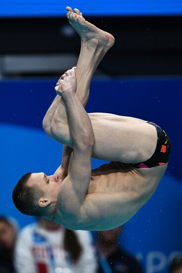 Чемпионат мира FINA 2017. Прыжки в воду. Мужчины. Трамплин 1 м. Финал