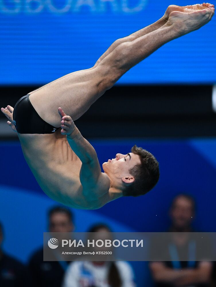 Чемпионат мира FINA 2017. Прыжки в воду. Мужчины. Трамплин 1 м. Финал