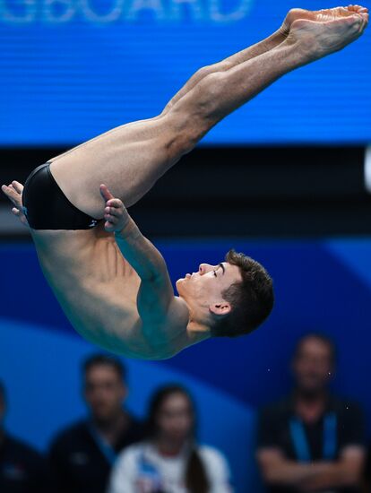 Чемпионат мира FINA 2017. Прыжки в воду. Мужчины. Трамплин 1 м. Финал