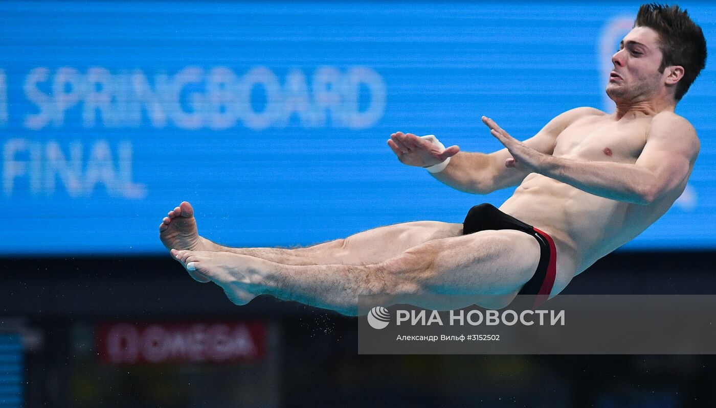 Чемпионат мира FINA 2017. Прыжки в воду. Мужчины. Трамплин 1 м. Финал