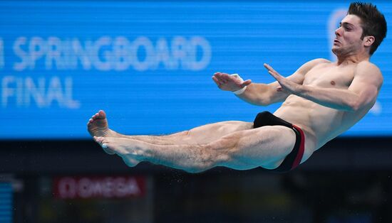 Чемпионат мира FINA 2017. Прыжки в воду. Мужчины. Трамплин 1 м. Финал