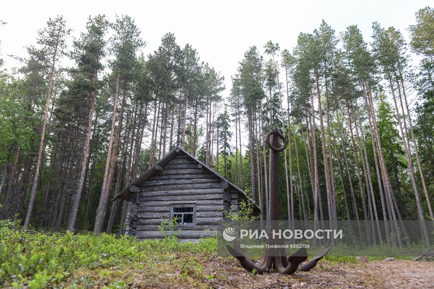 Экспедиция Института экологических проблем севера на Белое море