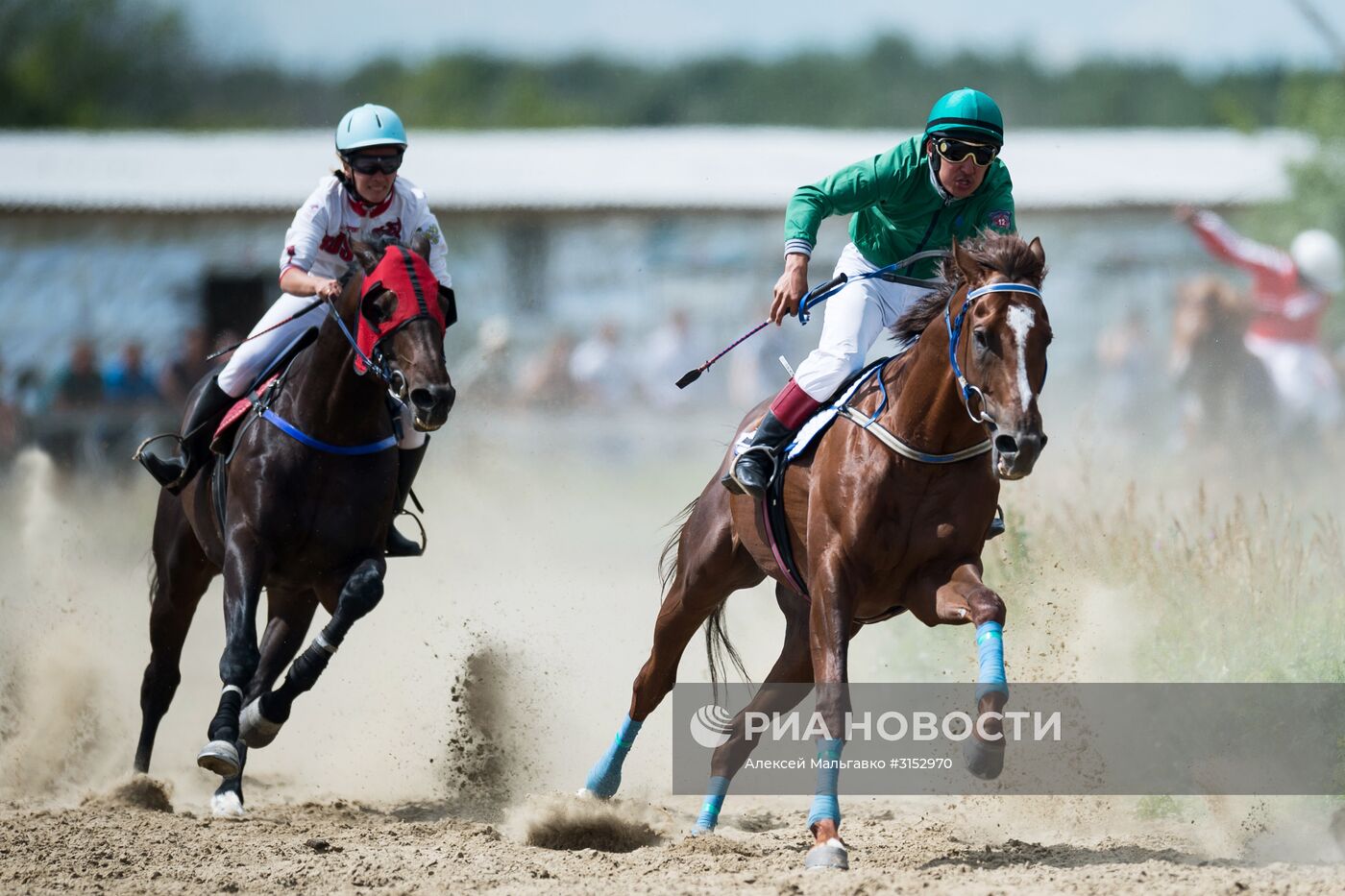 Проведение конных соревнований в Омской области
