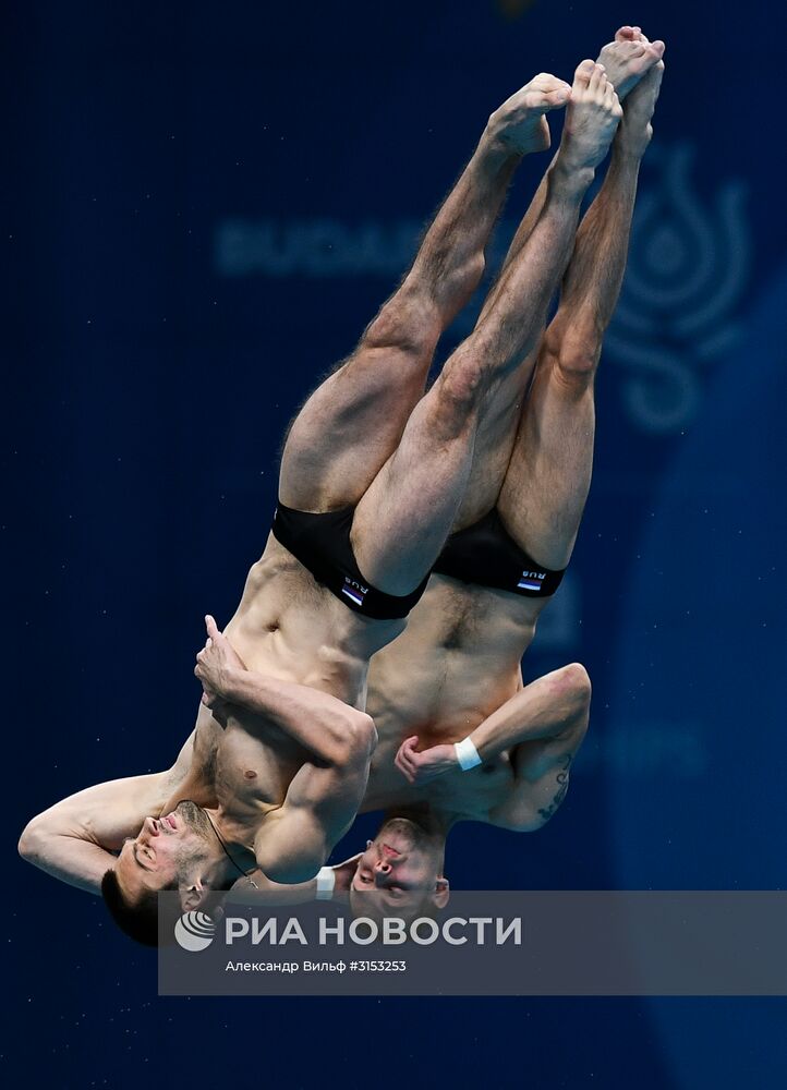 Чемпионат мира FINA 2017. Синхронные прыжки в воду. Мужчины. Вышка 10 м. Финал