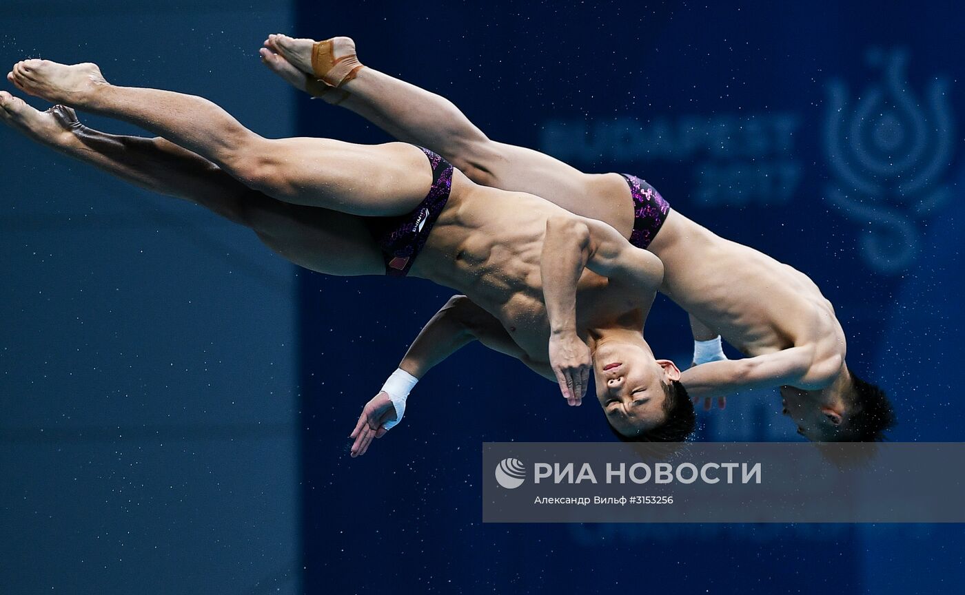 Чемпионат мира FINA 2017. Синхронные прыжки в воду. Мужчины. Вышка 10 м. Финал