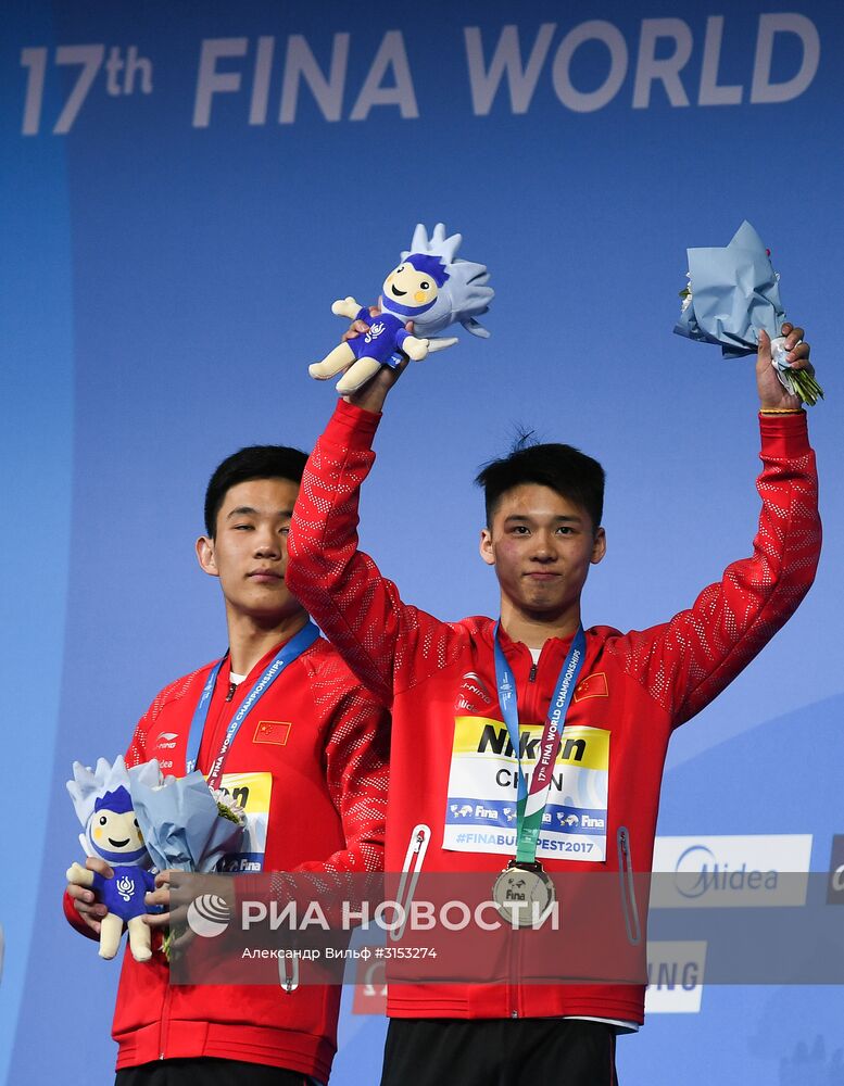 Чемпионат мира FINA 2017. Синхронные прыжки в воду. Мужчины. Вышка 10 м. Финал