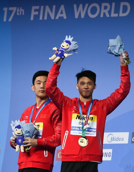 Чемпионат мира FINA 2017. Синхронные прыжки в воду. Мужчины. Вышка 10 м. Финал