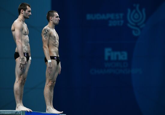 Чемпионат мира FINA 2017. Синхронные прыжки в воду. Мужчины. Вышка 10 м. Финал