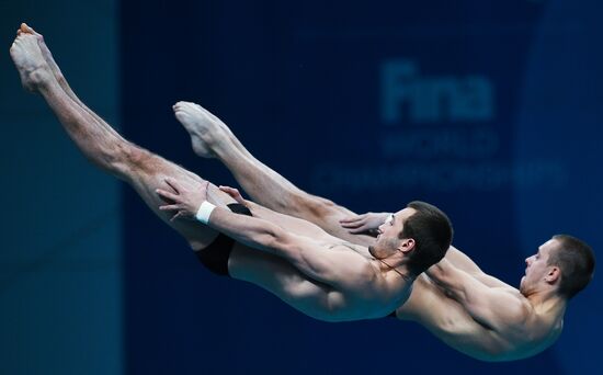 Чемпионат мира FINA 2017. Синхронные прыжки в воду. Мужчины. Вышка 10 м. Финал