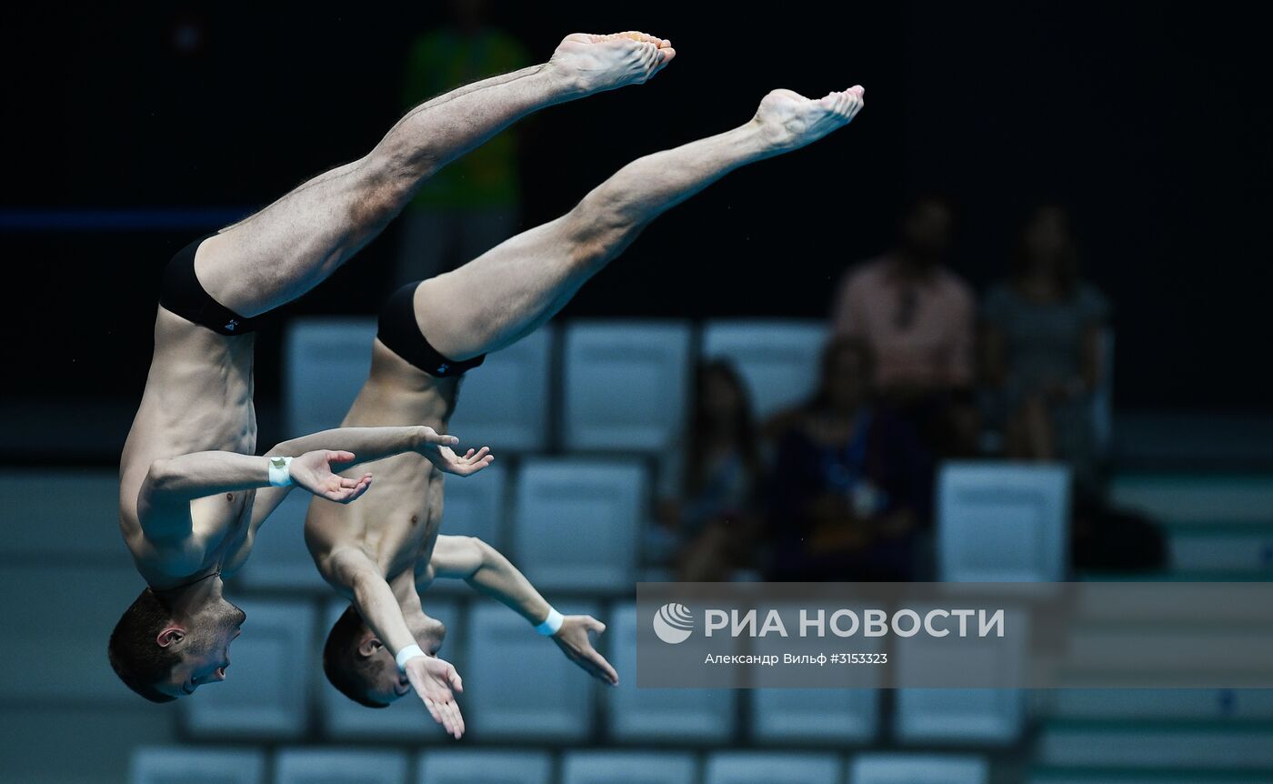 Чемпионат мира FINA 2017. Синхронные прыжки в воду. Мужчины. Вышка 10 м. Финал