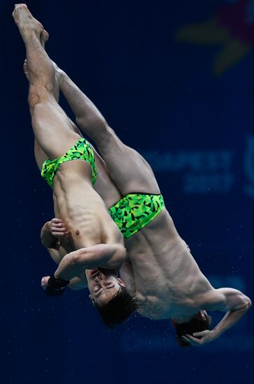 Чемпионат мира FINA 2017. Синхронные прыжки в воду. Мужчины. Вышка 10 м. Финал