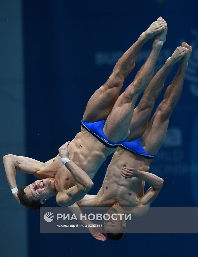 Чемпионат мира FINA 2017. Синхронные прыжки в воду. Мужчины. Вышка 10 м. Финал