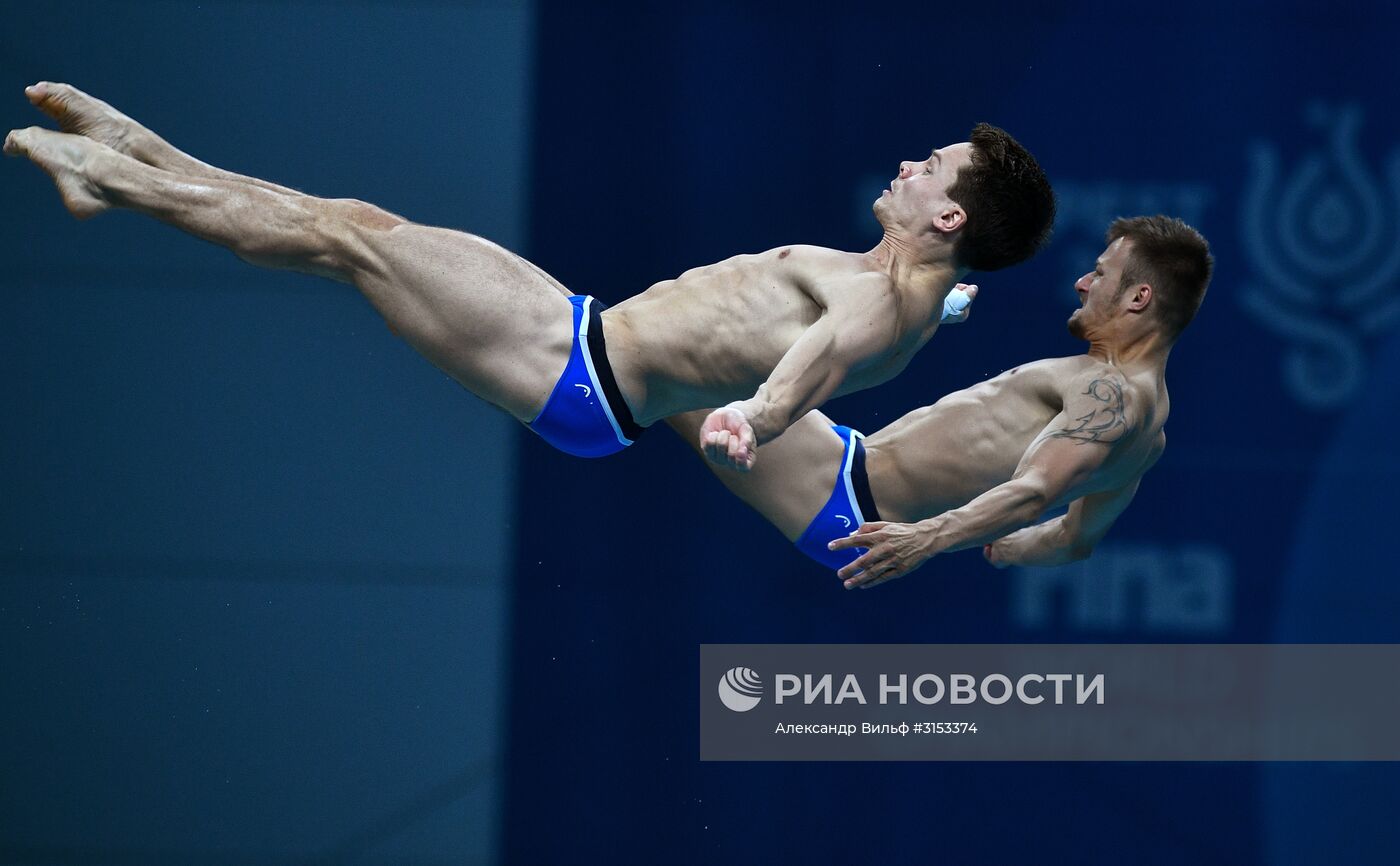 Чемпионат мира FINA 2017. Синхронные прыжки в воду. Мужчины. Вышка 10 м. Финал