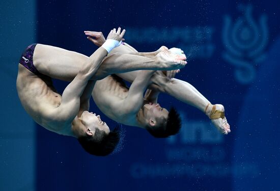 Чемпионат мира FINA 2017. Синхронные прыжки в воду. Мужчины. Вышка 10 м. Финал