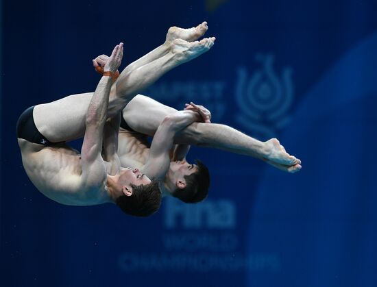 Чемпионат мира FINA 2017. Синхронные прыжки в воду. Мужчины. Вышка 10 м. Финал