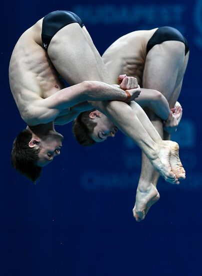 Чемпионат мира FINA 2017. Синхронные прыжки в воду. Мужчины. Вышка 10 м. Финал