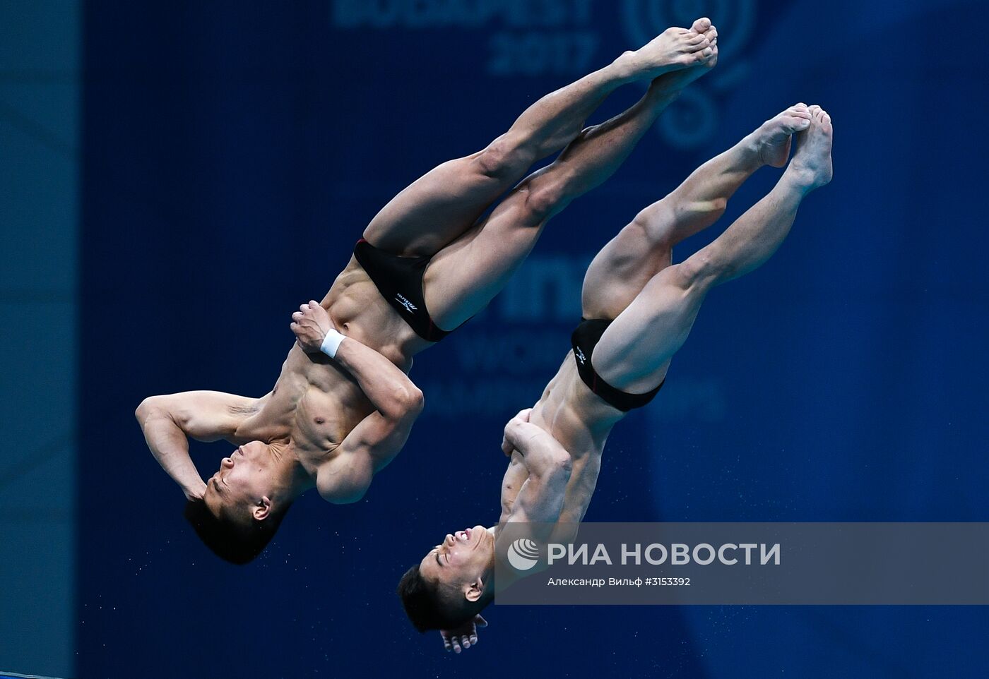 Чемпионат мира FINA 2017. Синхронные прыжки в воду. Мужчины. Вышка 10 м. Финал