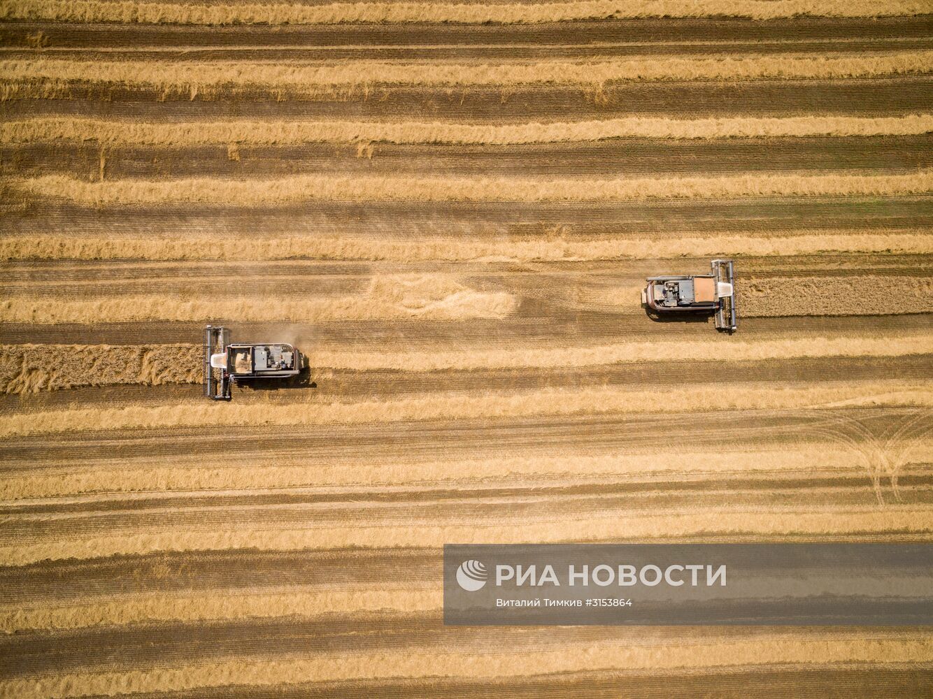 Уборка зерновых в Крансодарском крае