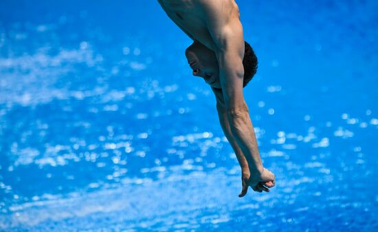 Чемпионат мира FINA 2017. Прыжки в воду. Командные соревнования