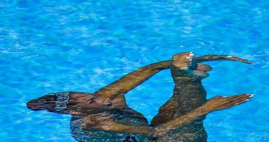 Чемпионат мира FINA 2017. Синхронное плавание. Соло. Произвольная программа. Финал