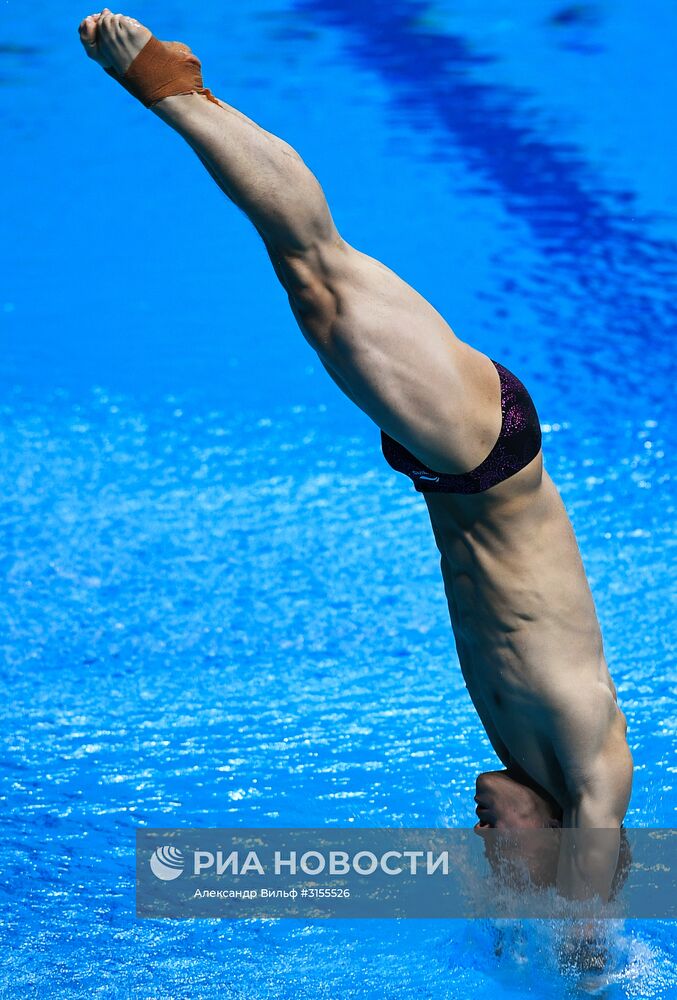 Чемпионат мира FINA 2017. Прыжки в воду. Мужчины. Трамплин 3 м. Финал
