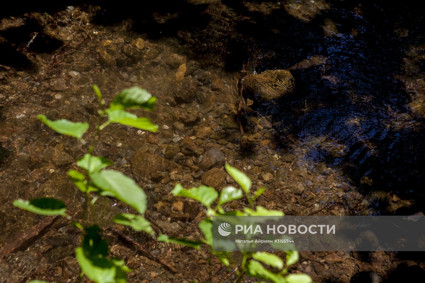 Высокогорный оздоровительный комплекс "Нагутни" в Южной Осетии