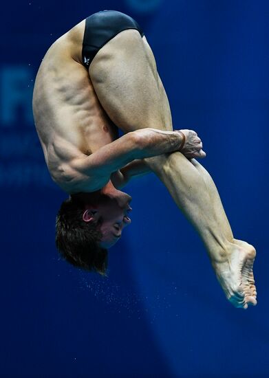 Чемпионат мира FINA 2017. Прыжки в воду. Мужчины. Вышка 10 м. Финал