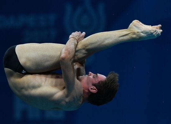 Чемпионат мира FINA 2017. Прыжки в воду. Мужчины. Вышка 10 м. Финал