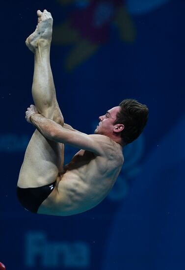 Чемпионат мира FINA 2017. Прыжки в воду. Мужчины. Вышка 10 м. Финал