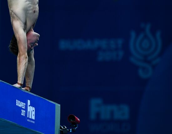 Чемпионат мира FINA 2017. Прыжки в воду. Мужчины. Вышка 10 м. Финал