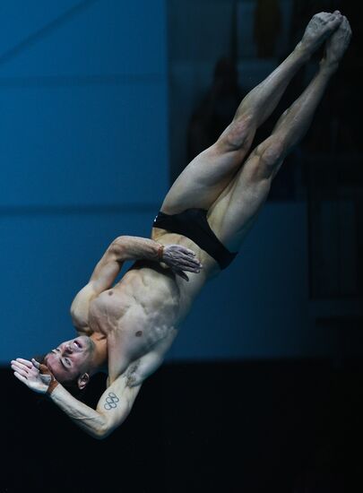 Чемпионат мира FINA 2017. Прыжки в воду. Мужчины. Вышка 10 м. Финал