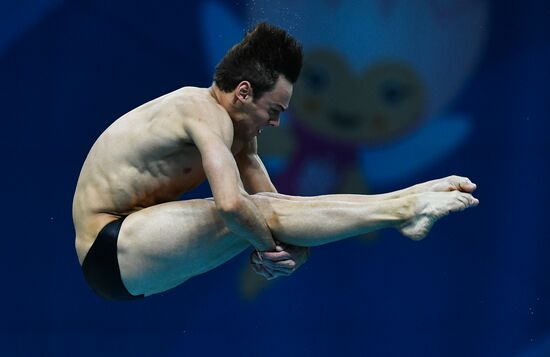 Чемпионат мира FINA 2017. Прыжки в воду. Мужчины. Вышка 10 м. Финал