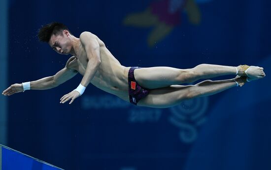 Чемпионат мира FINA 2017. Прыжки в воду. Мужчины. Вышка 10 м. Финал