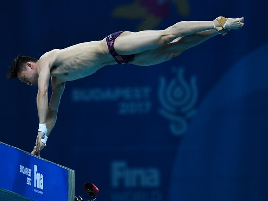 Чемпионат мира FINA 2017. Прыжки в воду. Мужчины. Вышка 10 м. Финал