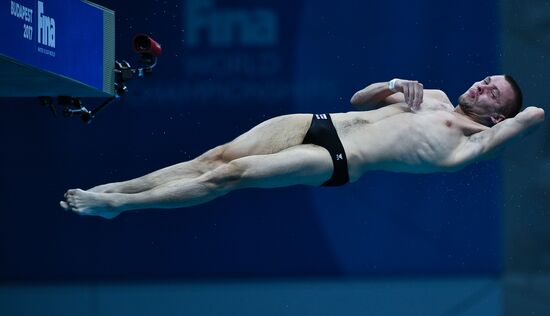 Чемпионат мира FINA 2017. Прыжки в воду. Мужчины. Вышка 10 м. Финал