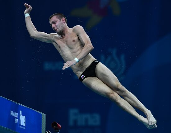 Чемпионат мира FINA 2017. Прыжки в воду. Мужчины. Вышка 10 м. Финал