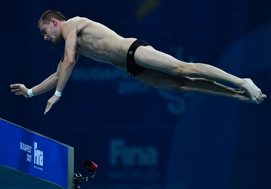 Чемпионат мира FINA 2017. Прыжки в воду. Мужчины. Вышка 10 м. Финал