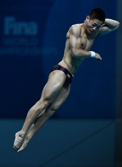 Чемпионат мира FINA 2017. Прыжки в воду. Мужчины. Вышка 10 м. Финал