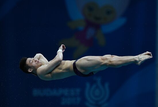 Чемпионат мира FINA 2017. Прыжки в воду. Мужчины. Вышка 10 м. Финал