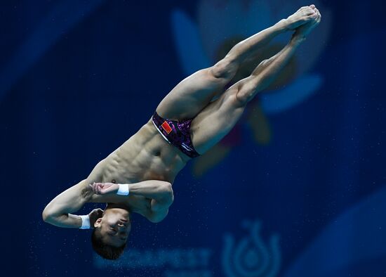 Чемпионат мира FINA 2017. Прыжки в воду. Мужчины. Вышка 10 м. Финал