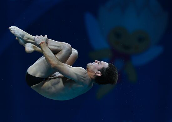 Чемпионат мира FINA 2017. Прыжки в воду. Мужчины. Вышка 10 м. Финал